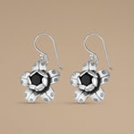 Load image into Gallery viewer, Eden 925 Sterling Silver Hook Earrings for Women's