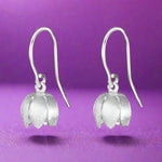 Load image into Gallery viewer, silver earrings
