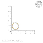 Load image into Gallery viewer, Pihu Double Hoops Two Tone 925 Sterling Silver Hoop Earrings