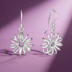 Load image into Gallery viewer, silver earrings