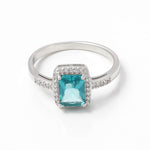 Load image into Gallery viewer, Insignia Color 925 Silver Ring