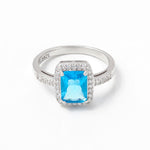 Load image into Gallery viewer, Insignia Color 925 Silver Ring