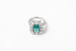 Load image into Gallery viewer, The Celestial Bridal 925 Silver Ring