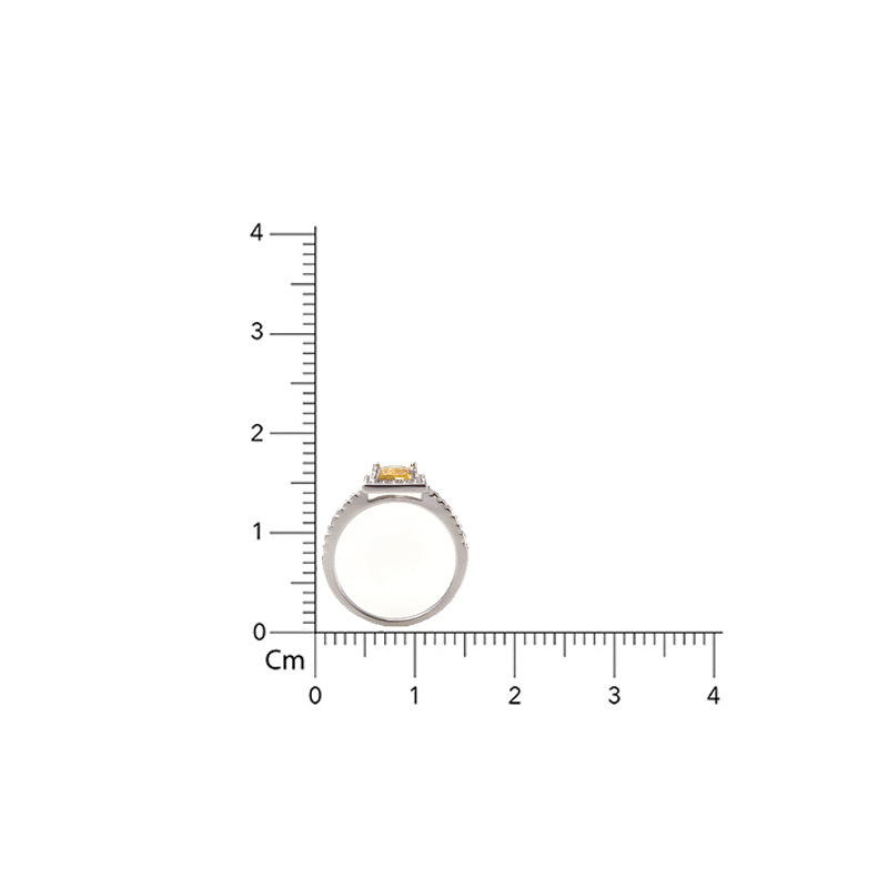 The Celestial Bridal 925 Silver Ring