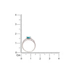 Load image into Gallery viewer, Insignia Color 925 Silver Ring