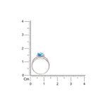 Load image into Gallery viewer, Insignia Color 925 Silver Ring