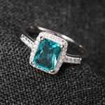 Load image into Gallery viewer, Insignia Color 925 Silver Ring