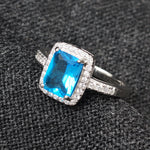Load image into Gallery viewer, Insignia Color 925 Silver Ring