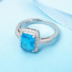 Load image into Gallery viewer, Insignia Color 925 Silver Ring