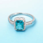 Load image into Gallery viewer, Insignia Color 925 Silver Ring