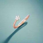 Load image into Gallery viewer, Silver Ring