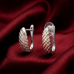 Load image into Gallery viewer, Stylish 925 Sterling Silver Hoop Earrings For Women