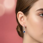 Load image into Gallery viewer, Hoops of Passion 925 Silver Earrings