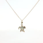 Load image into Gallery viewer, Your Speed Doesn't Metter 925 Sterling Silver Pendant With Chain Adjustable Length