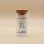 Load image into Gallery viewer, Princess 925 Sterling Silver Pendant With Chain Adjustable Length in Glass Bottle