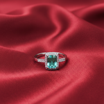 Load image into Gallery viewer, Insignia Color 925 Silver Ring