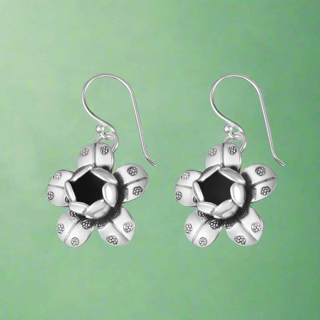 silver earrings