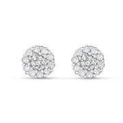 Asha Halo Studs 925 Silver Earrings