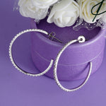 Load image into Gallery viewer, Hoops 925 Sterling Silver Earrings
