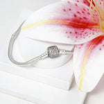 Load image into Gallery viewer, Carmina 925 Silver Bracelet (Charms not included)
