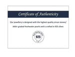 Load image into Gallery viewer, Swan  925 Silver Necklaces with Adjustable Length

