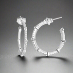 Load image into Gallery viewer, silver earrings
