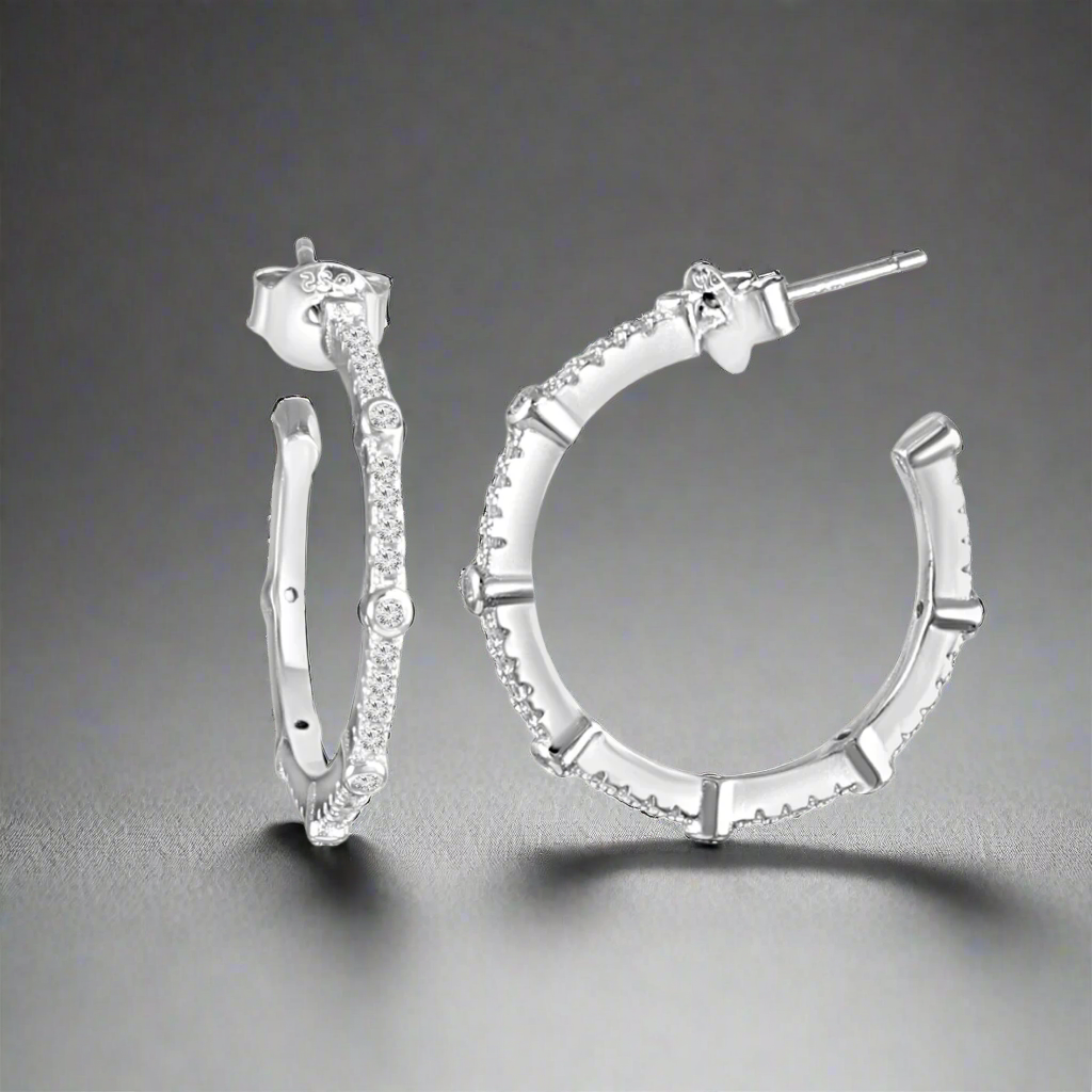 silver earrings