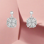 Load image into Gallery viewer, silver earrings
