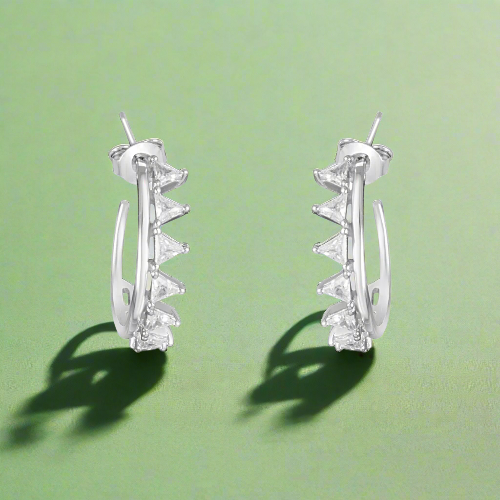 silver earrings