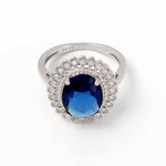 Load image into Gallery viewer, The Celestial Bridal 925 Silver Ring
