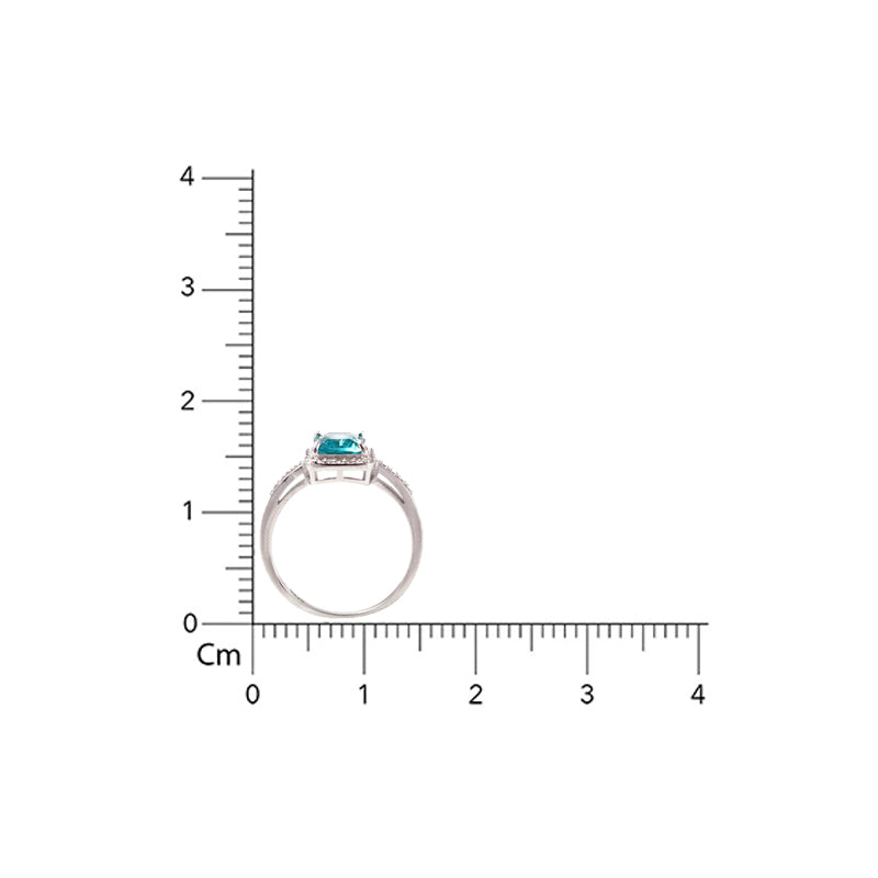 Insignia Color 925 Silver Ring