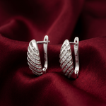 Load image into Gallery viewer, Stylish 925 Sterling Silver Hoop Earrings For Women