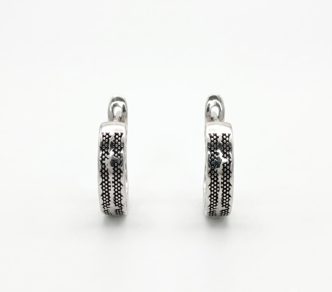 Chic 925 Silver Hoop Earrings with Brilliant Cut CZ Drop