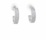 Load image into Gallery viewer, Stylish 925 Sterling Silver Hoop Earrings For Women