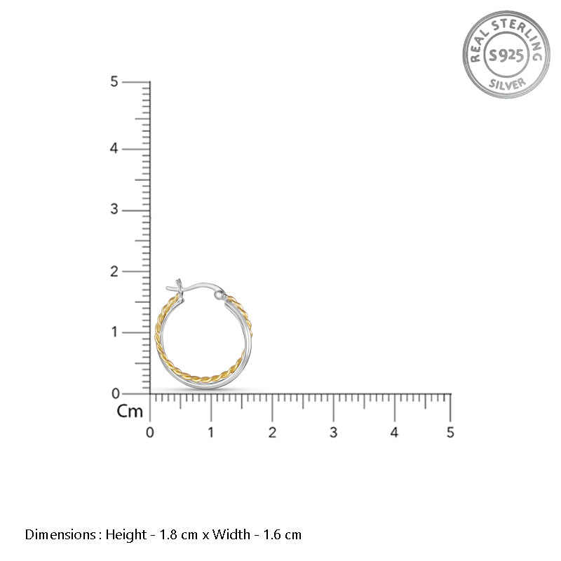 Aditi Swig Double Hoops Two Tone 925 Sterling Silver Hoop Earrings