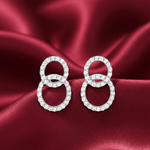 Load image into Gallery viewer, Dual Circle of Life Pro 925 Silver Earrings