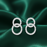 Load image into Gallery viewer, Dual Circle of Life Pro 925 Silver Earrings