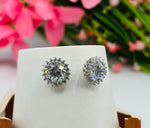 Load image into Gallery viewer, Solitaire Nakshatram  925 Silver Stud Earrings
