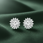 Load image into Gallery viewer, Solitaire Nakshatram  925 Silver Stud Earrings