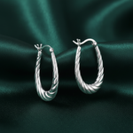 Load image into Gallery viewer, Twister 925 Sterling Silver Hoop Earrings