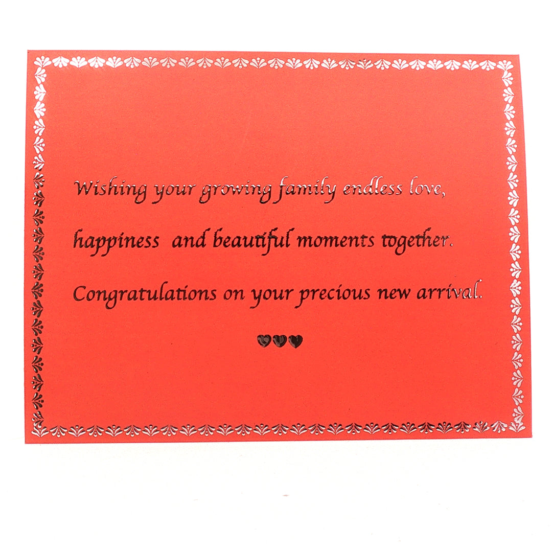 Welcome Baby Born 999 purity Silver Coins Available in  10 Gms