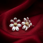 Load image into Gallery viewer, Beautiful 925 Sterling Silver Fashion Stud Earrings