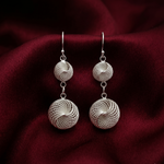 Load image into Gallery viewer, Geometric Waves 925 Sterling Silver Dangling Hook Earrings for Women