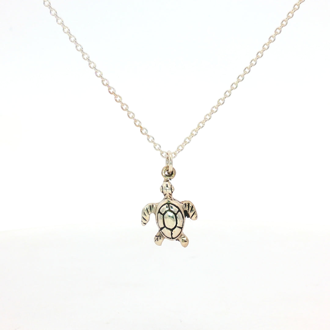 Your Speed Doesn't Metter 925 Sterling Silver Pendant With Adjustable Chain with Message Postcard